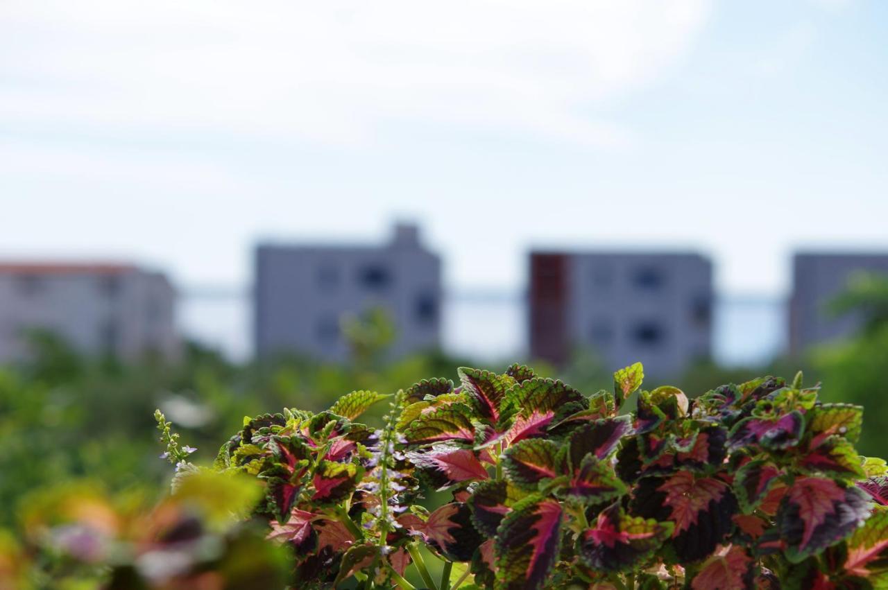Apartment Nada Vir Kültér fotó